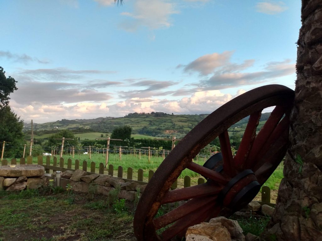 IMG_20220524_211936066_HDR