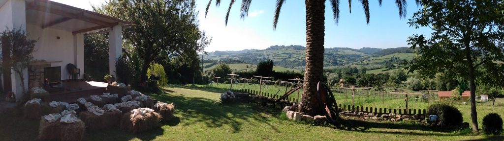 IMG_20220526_103156471